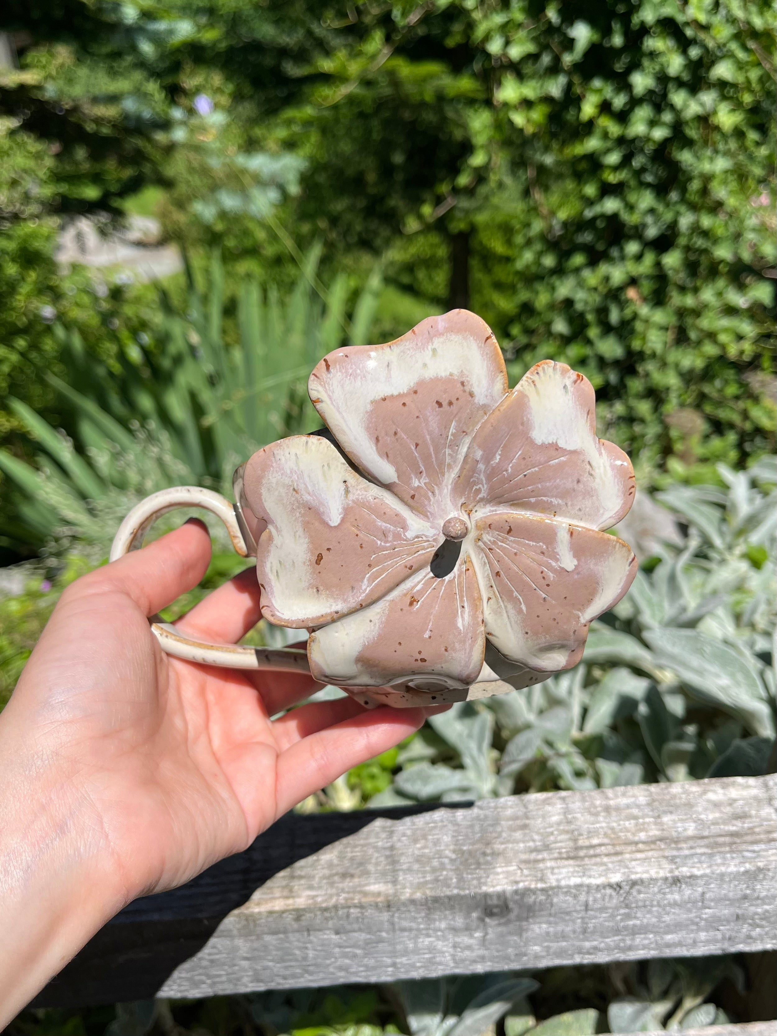 Whimsical Rose Mallow