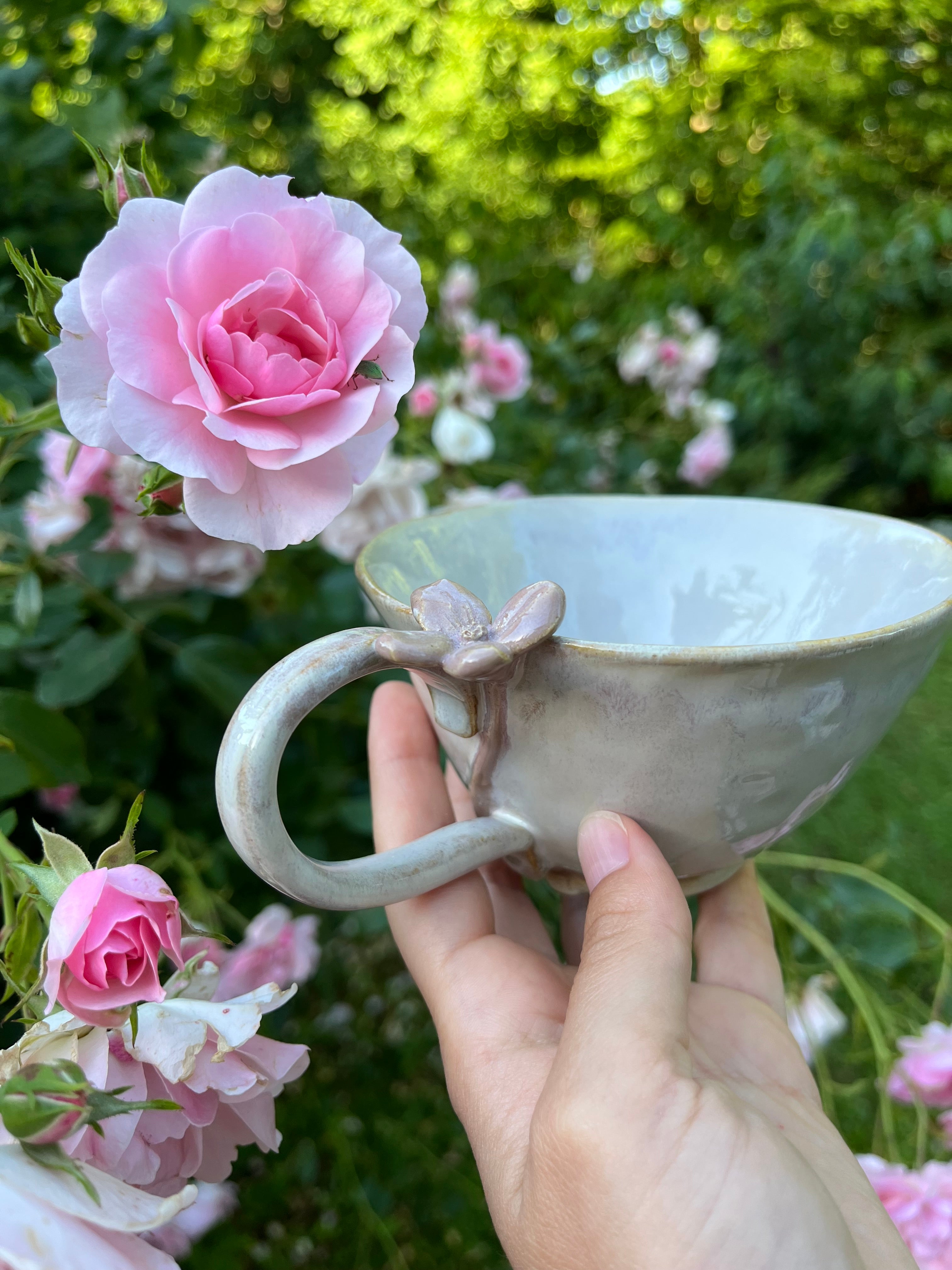 Bloom